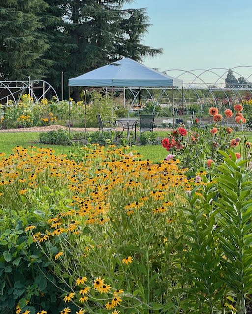 Flower beds at Hues Floral Park in Junction City, Oregon
