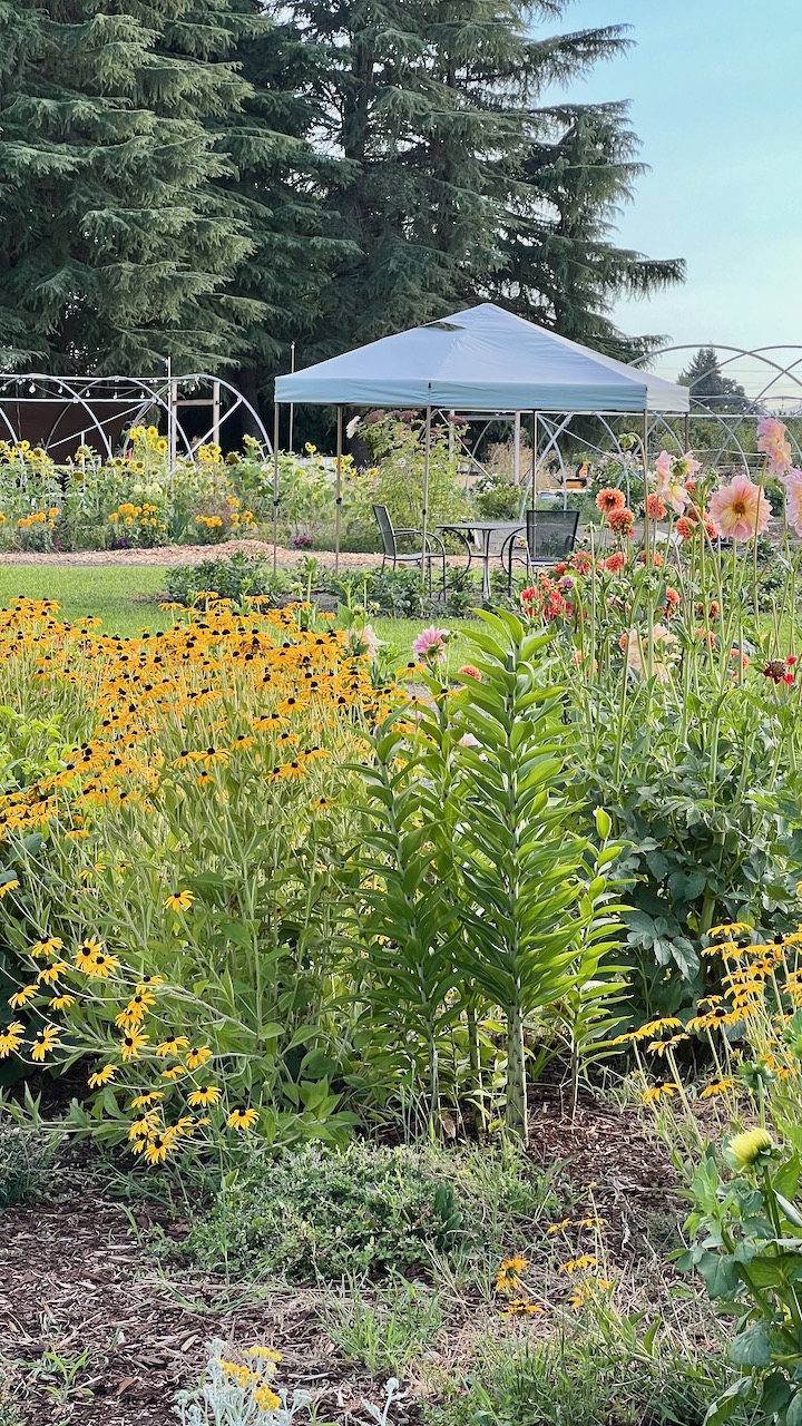 Circle seating area among the flower beds at Hues Floral Park